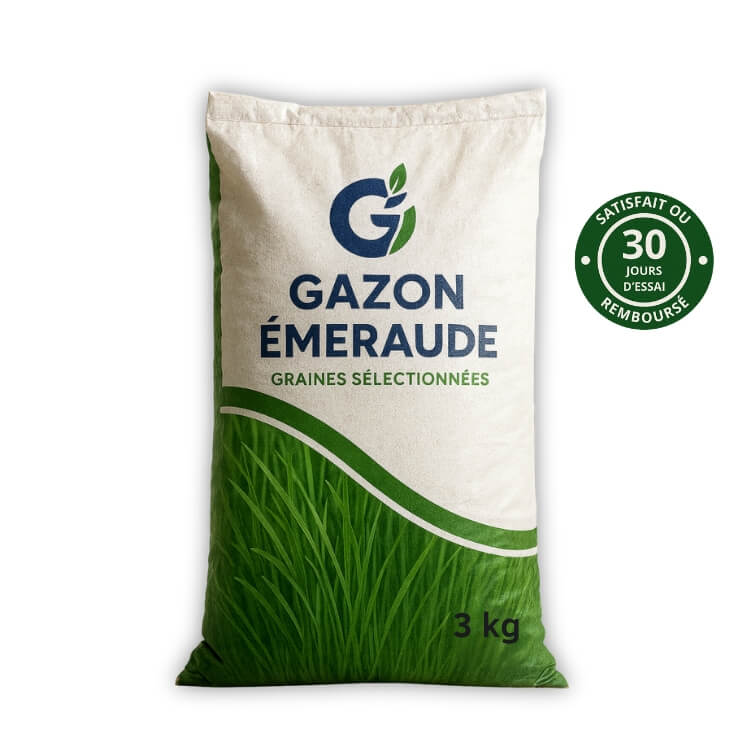 Graines de gazon Premium – GreenPrime™ – Gazon Émeraude
