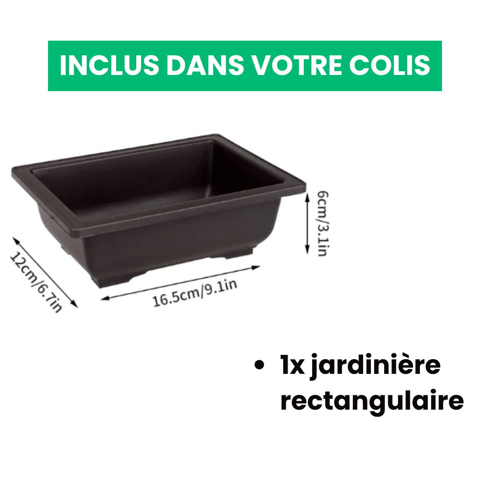 Jardinière Rectangulaire Élégante