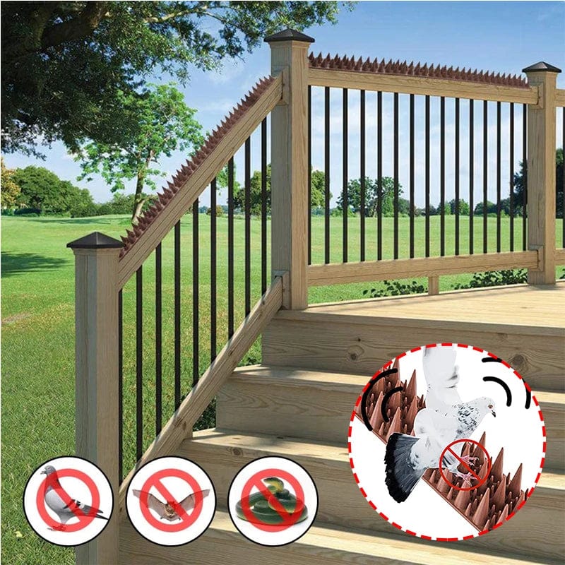 Pointes Barrière Anti-Oiseaux Ultra-Efficace