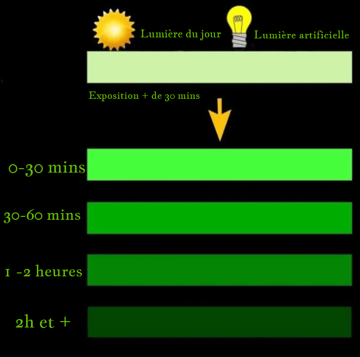 Ruban Brillant Enchanteur (Lot de 2 + 1 offert)