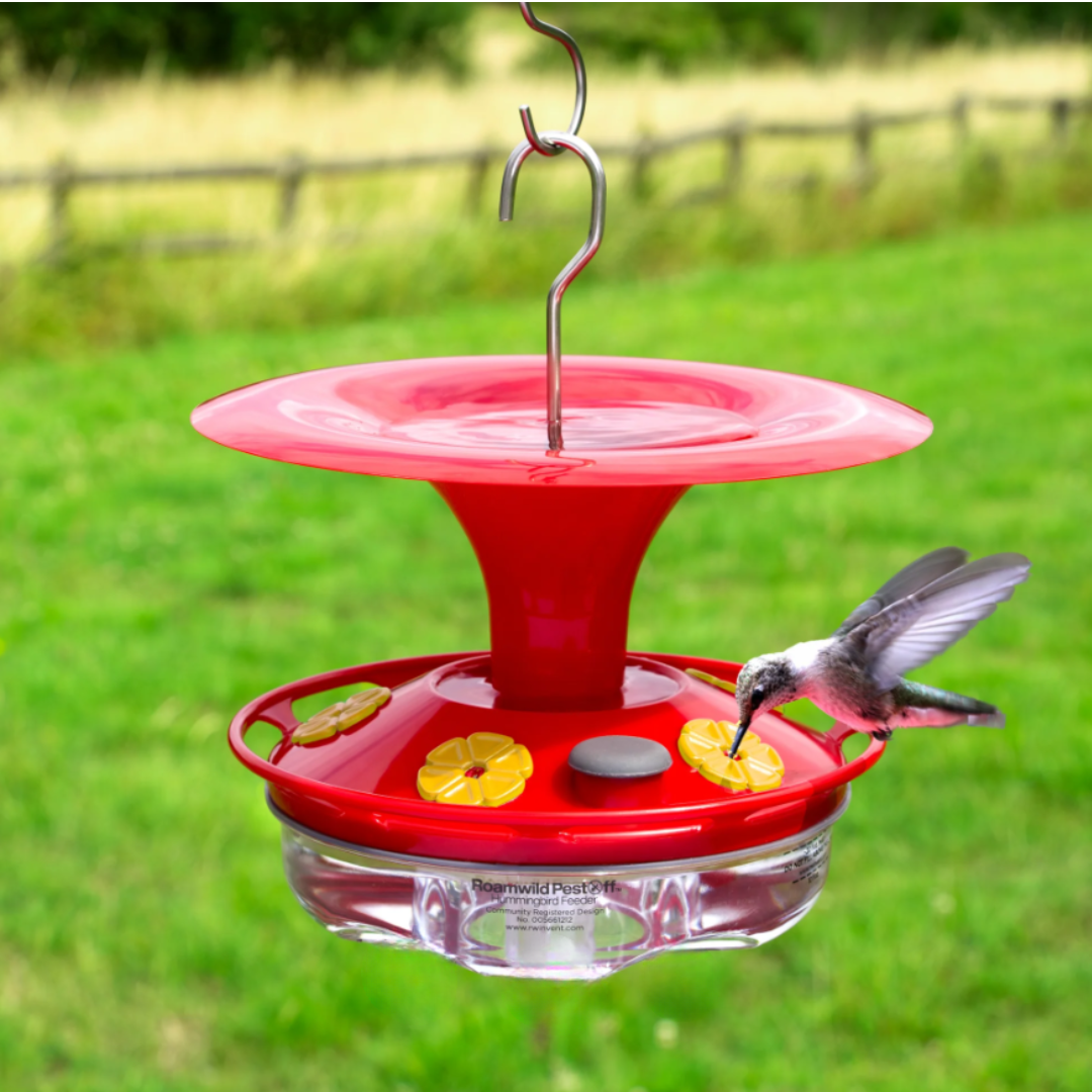 Mangeoire Colibri Multi-Port Transparente