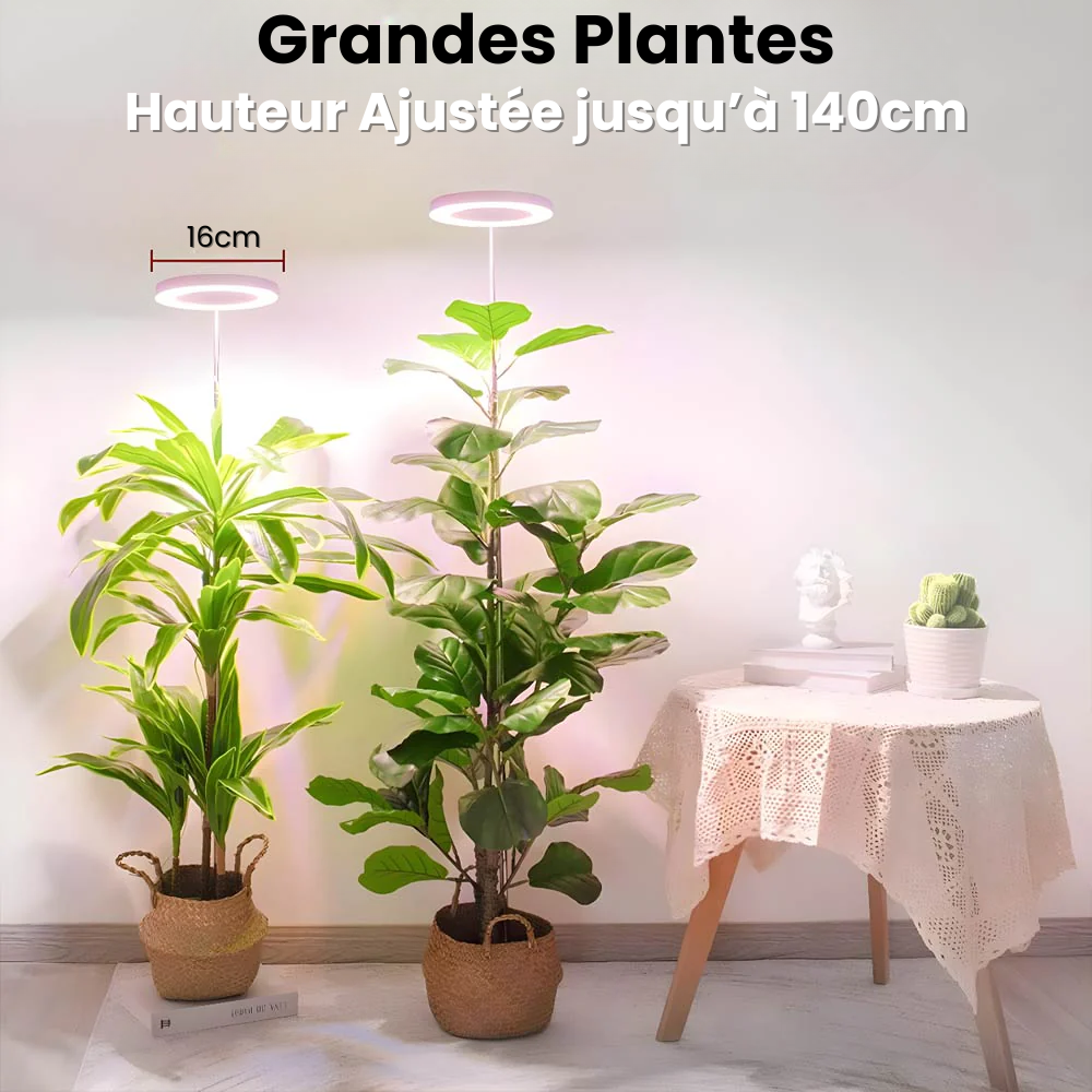 Lampe de Croissance LED d'Intérieur (Lot de 2+1 Offerte)