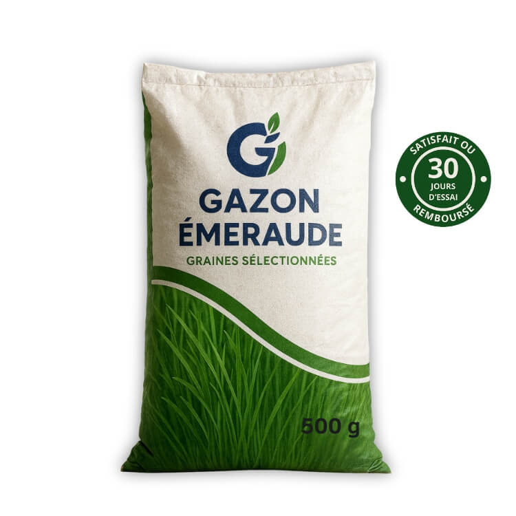 Graines de gazon Premium – GreenPrime™ – Gazon Émeraude