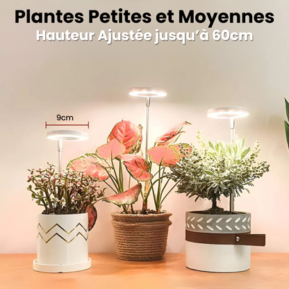 Lampe de Croissance LED d'Intérieur (Lot de 2+1 Offerte)