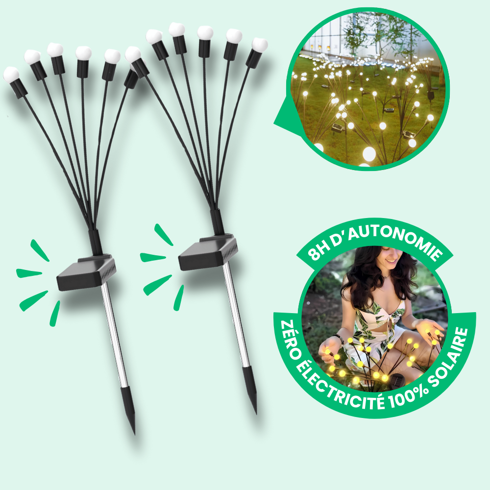 Lampes LED Lucioles à Énergie Solaire - Offre Spéciale
