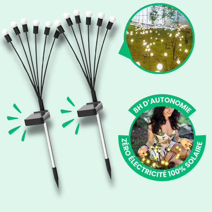 Lampes LED Lucioles à Énergie Solaire - Offre Spéciale