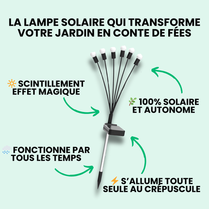 Lampes LED Lucioles à Énergie Solaire - Offre Spéciale