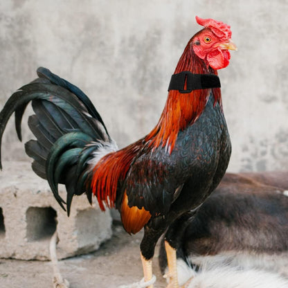 Collier Anti-Cri Réglable pour Poulets