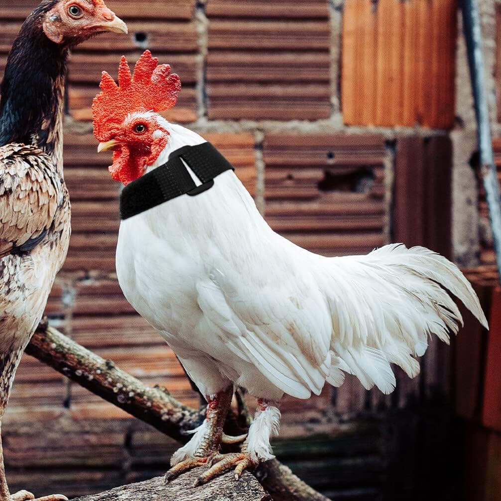 Collier Anti-Cri Réglable pour Poulets