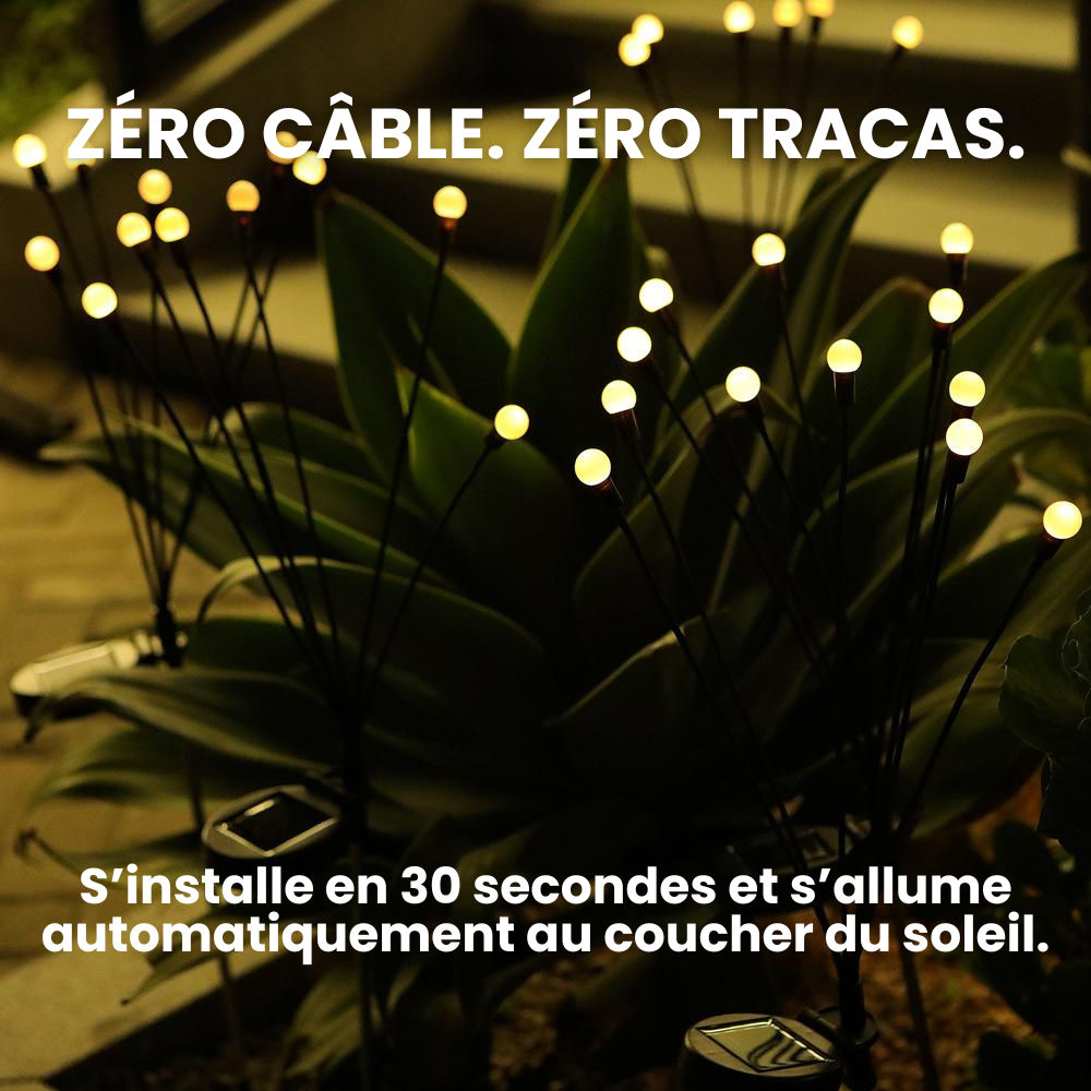 Lampes LED Lucioles à Énergie Solaire - Offre Spéciale