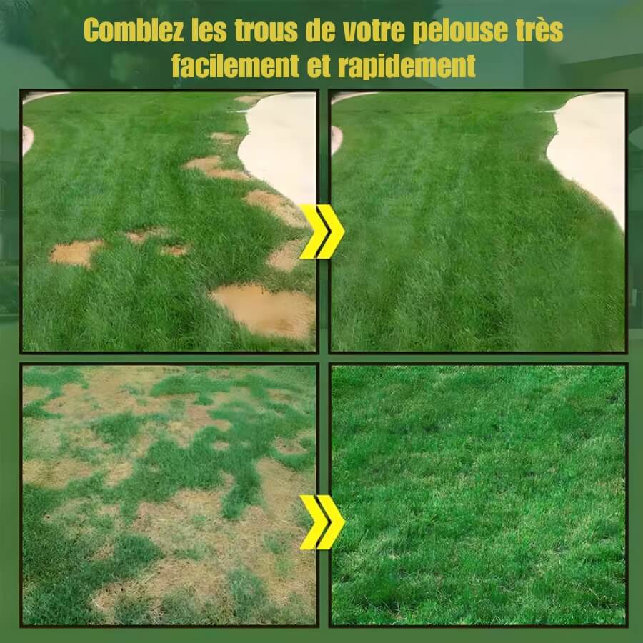 Graines de gazon Premium – GreenPrime™ – Gazon Émeraude