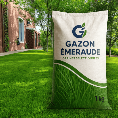 Graines de gazon Premium – GreenPrime™ – Gazon Émeraude