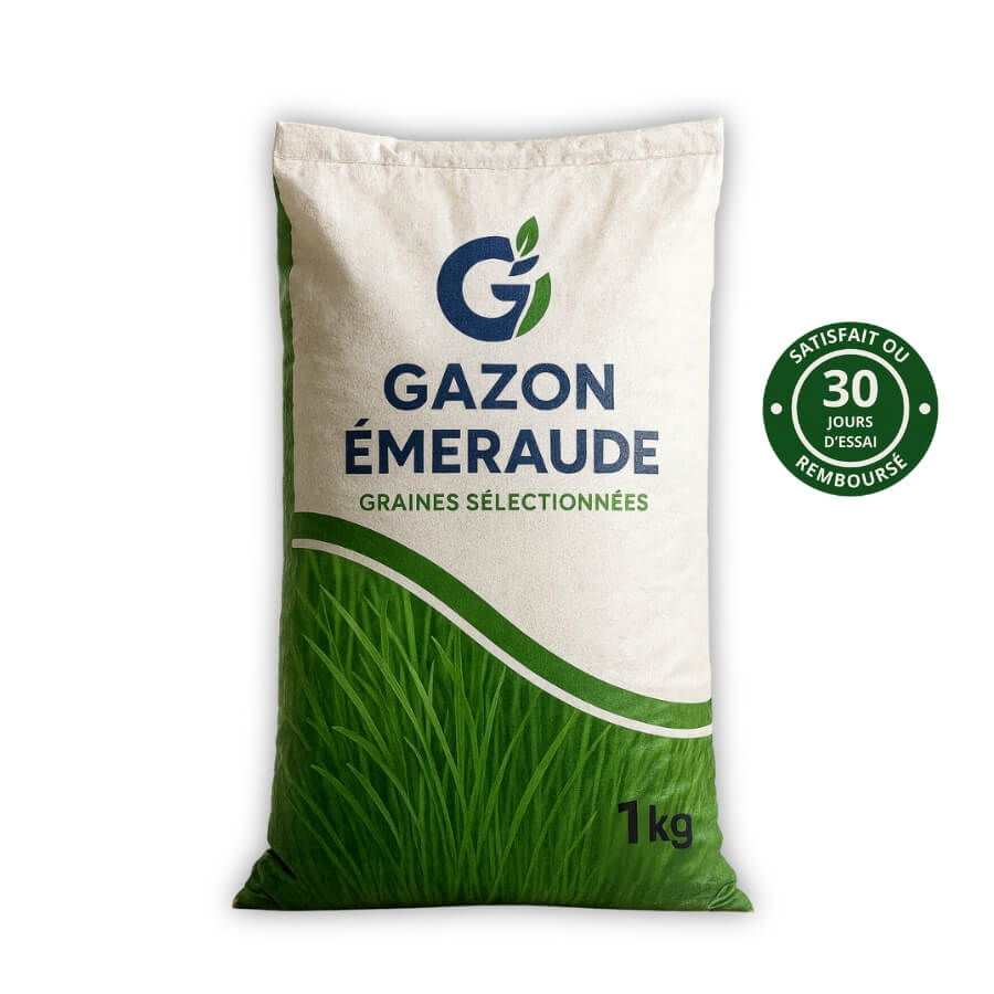 Graines de gazon Premium – GreenPrime™ – Gazon Émeraude