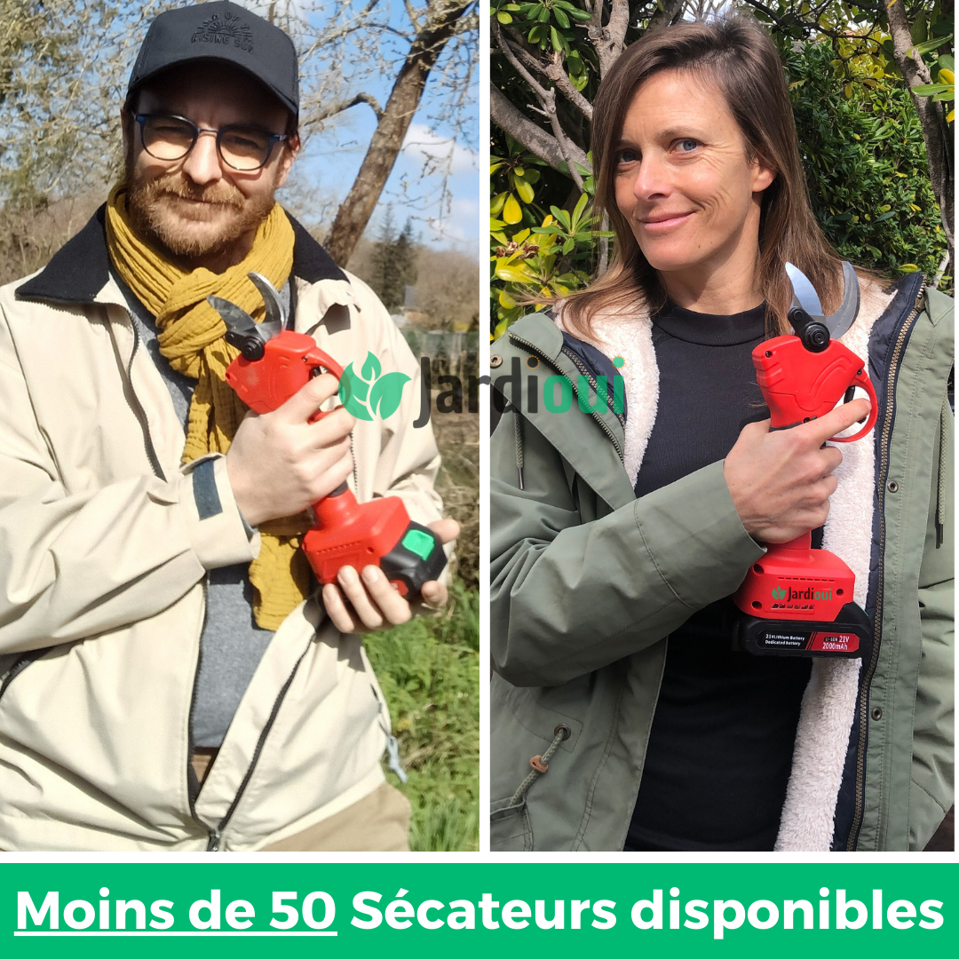 Sécateur électrique pro sans fil (+Batterie Offerte)