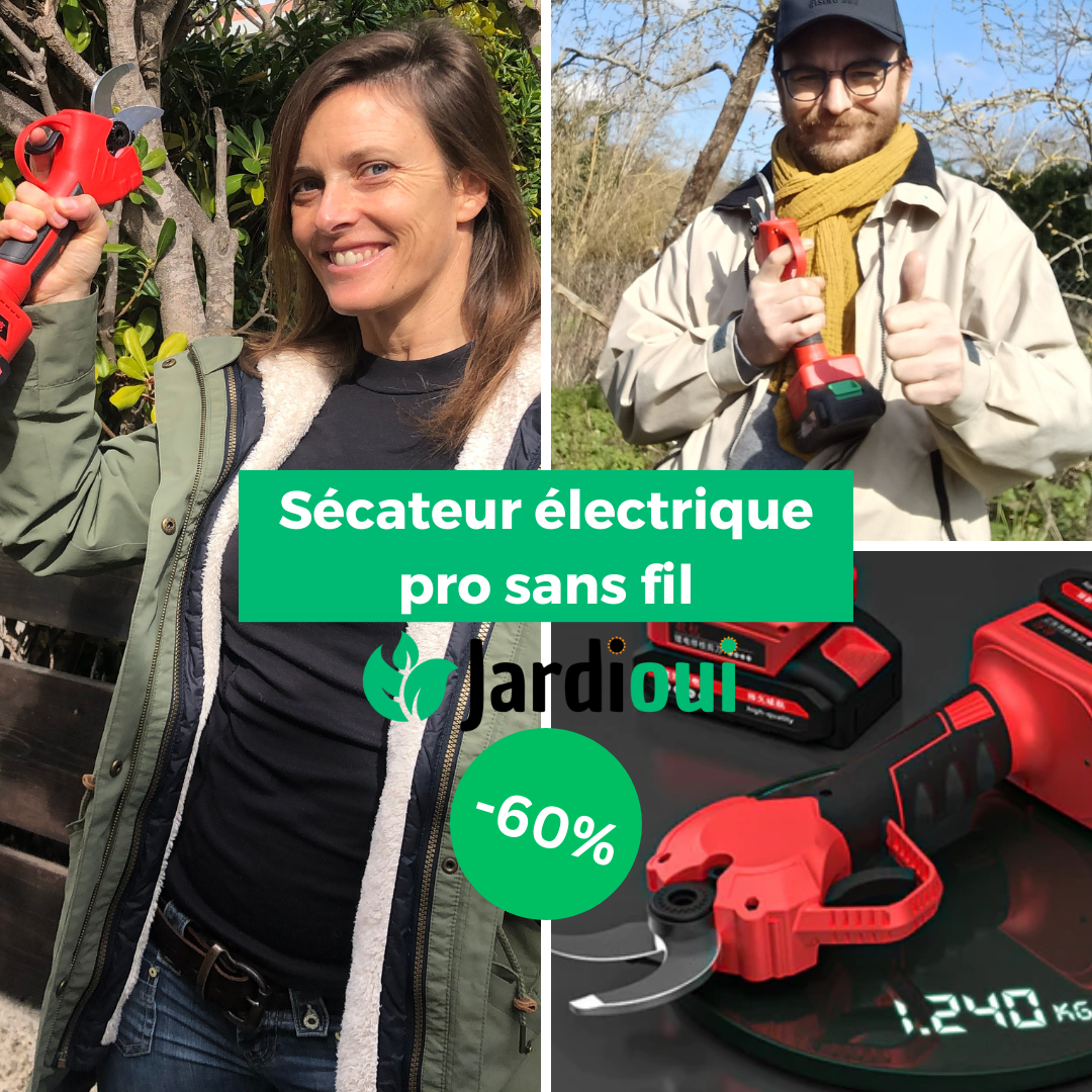 Sécateur électrique pro sans fil (+Batterie Offerte)