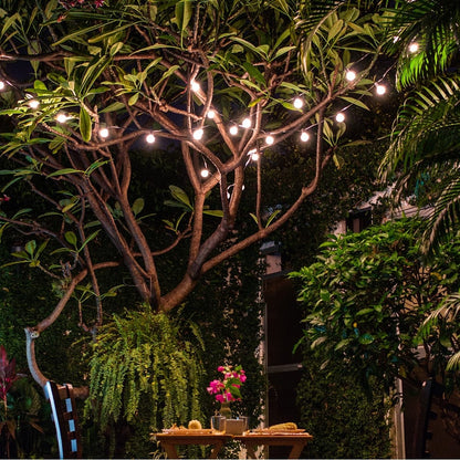 Guirlande d'Ampoules Solaires LED Pour Extérieur