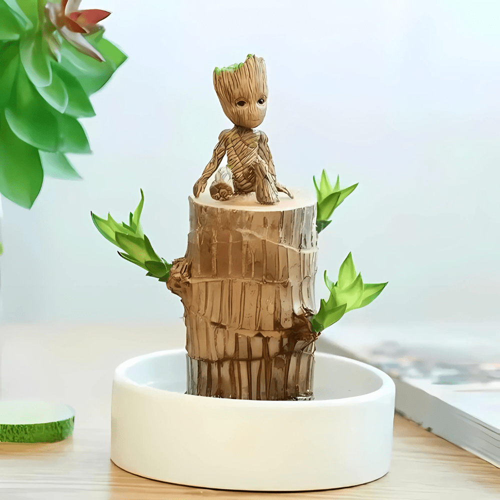 Bois Porte-Bonheur Apaisant (+Figurine Offerte)