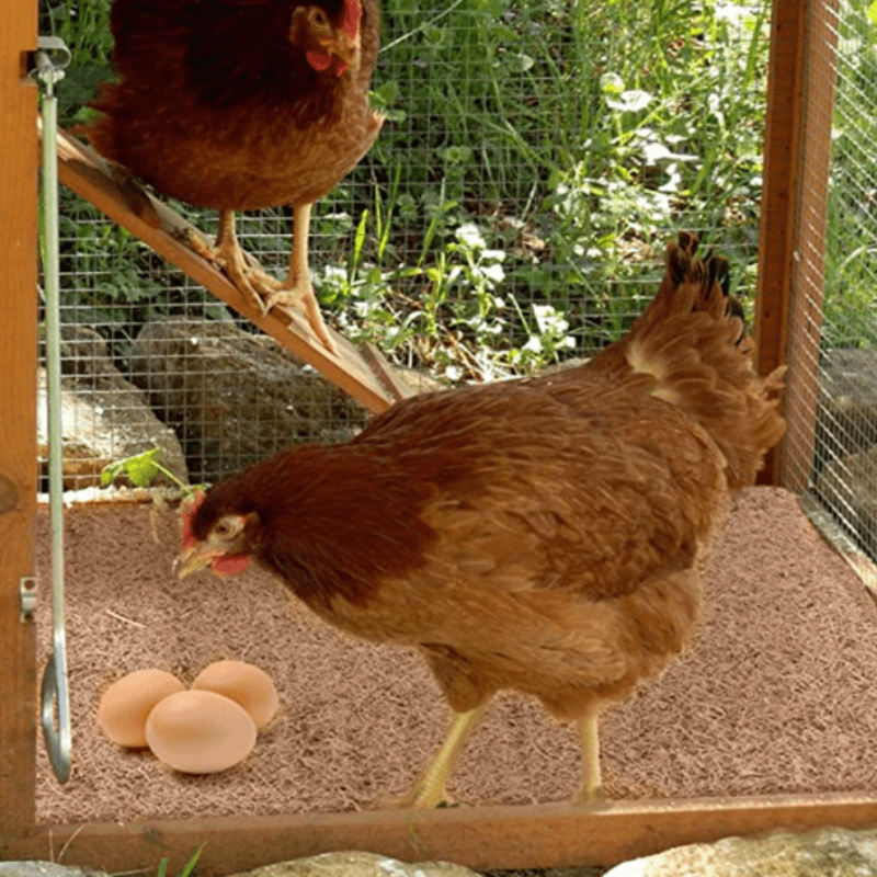 Coussins de Nidification pour Poulailler