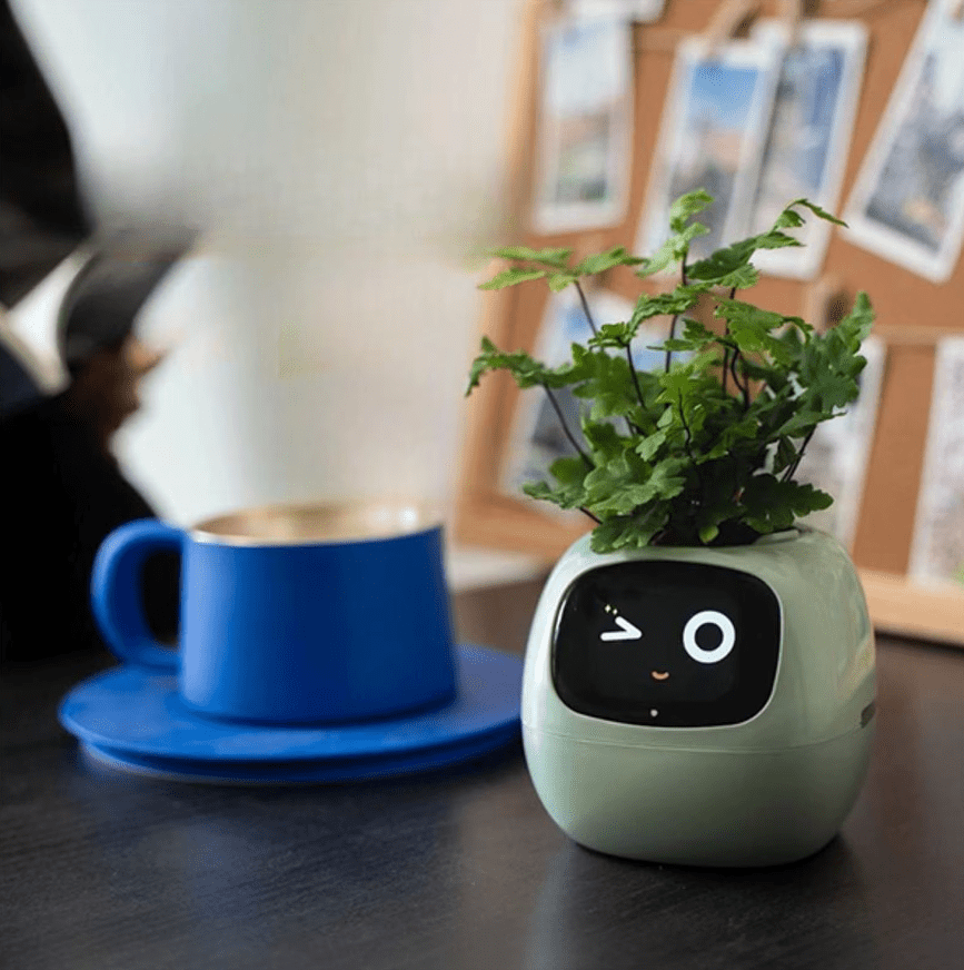 Pot Jardinière Intelligente Interactive