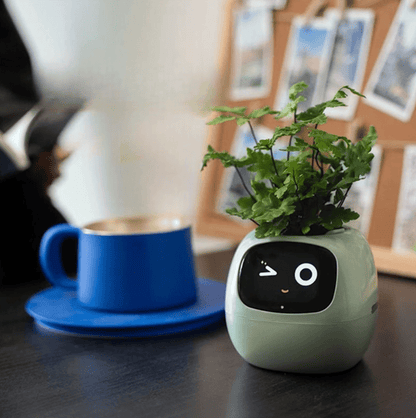 Pot Jardinière Intelligente Interactive