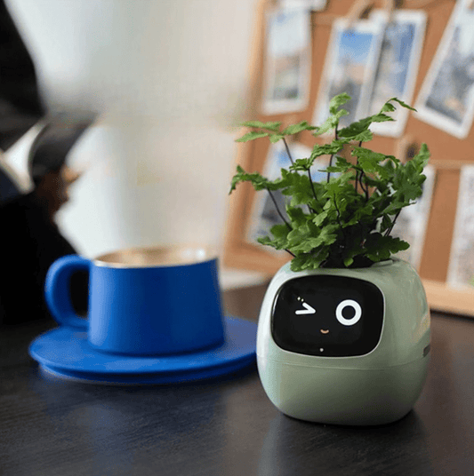 Pot Jardinière Intelligente Interactive