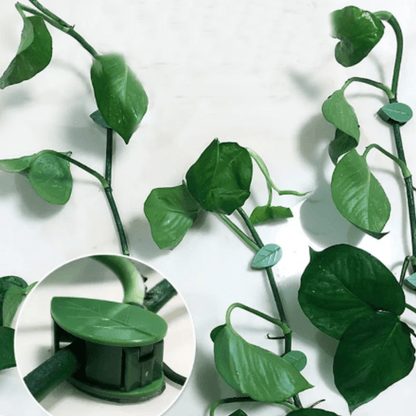 Supports Muraux Décoratifs pour Plantes