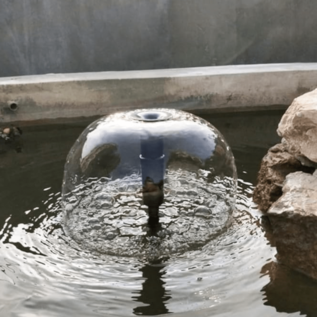 Pompe à Eau LED Silencieuse pour Fontaine