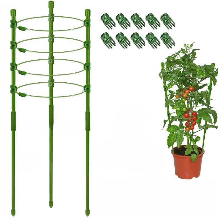 Structure de Soutien Ajustable pour Plantes Grimpantes