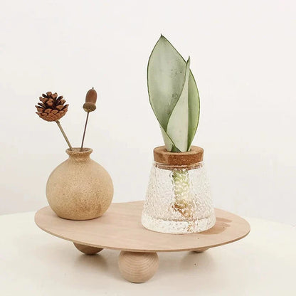 Vase Volcanique Hydroponique Artistique