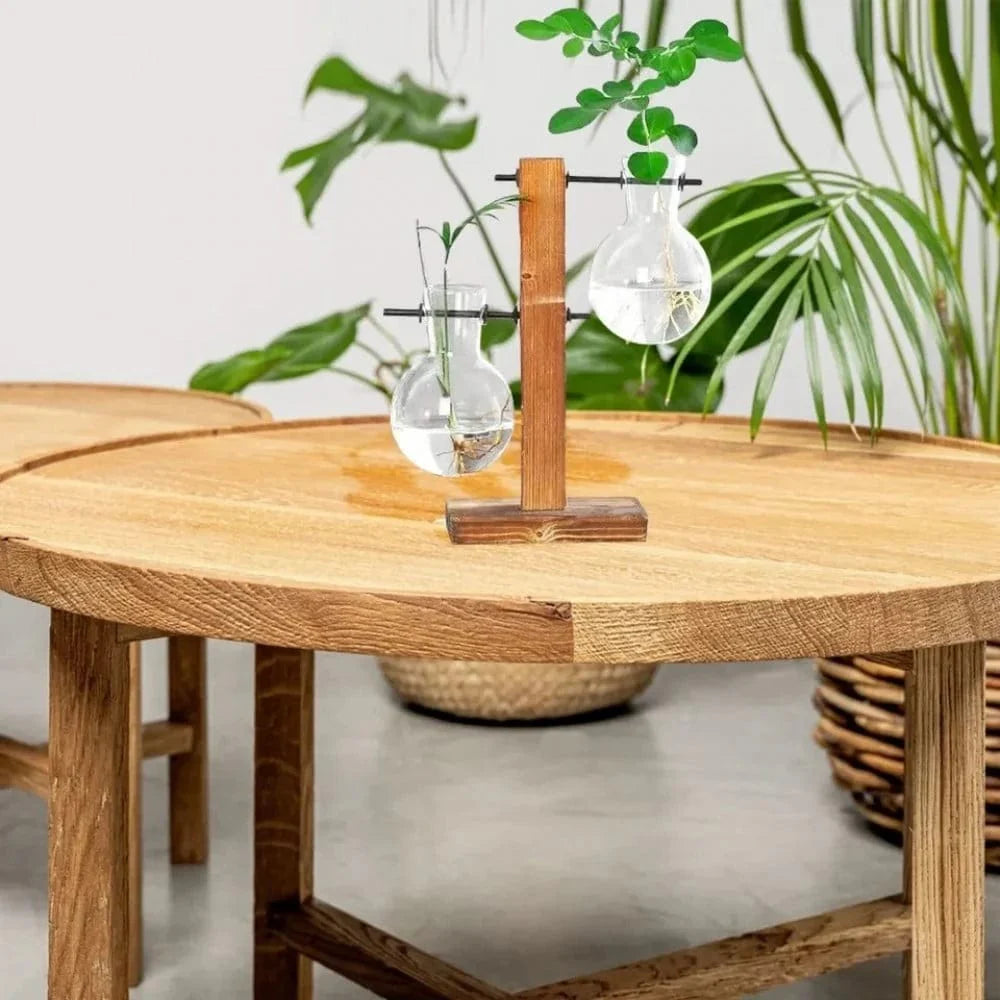 Vase à Ampoules Hydroponique Élégant