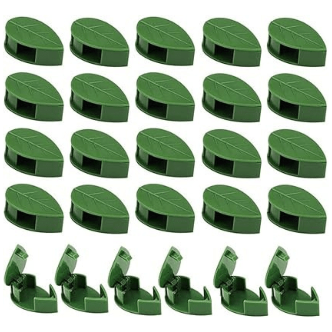 Supports Muraux Décoratifs pour Plantes