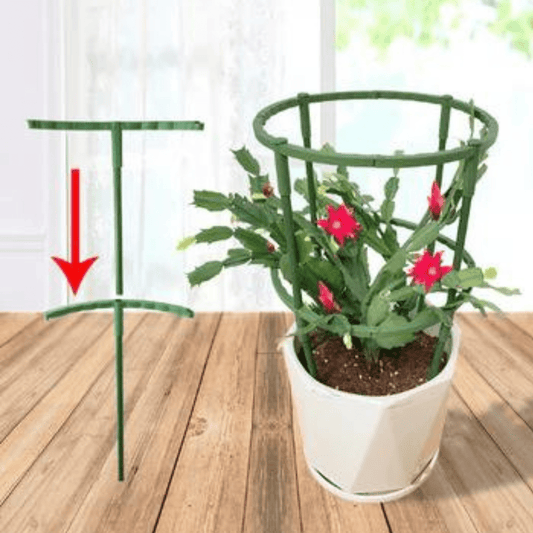 Tuteur Plante Grimpante Circulaire Harmonieux