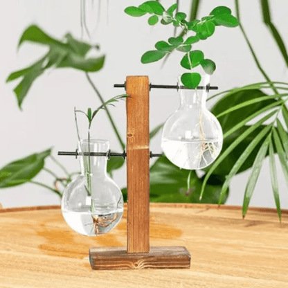 Vase à Ampoules Hydroponique Élégant