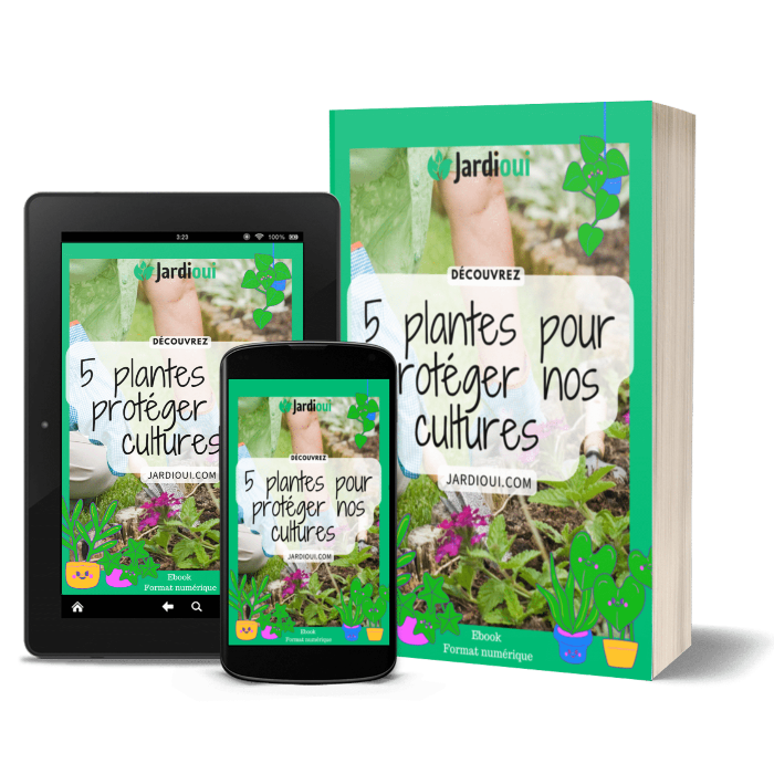 5 plantes pour protéger nos cultures - Ebook
