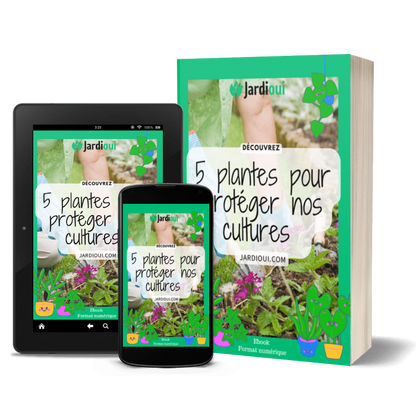 5 plantes pour protéger nos cultures - Ebook