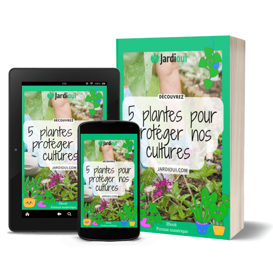 5 plantes pour protéger nos cultures - Ebook