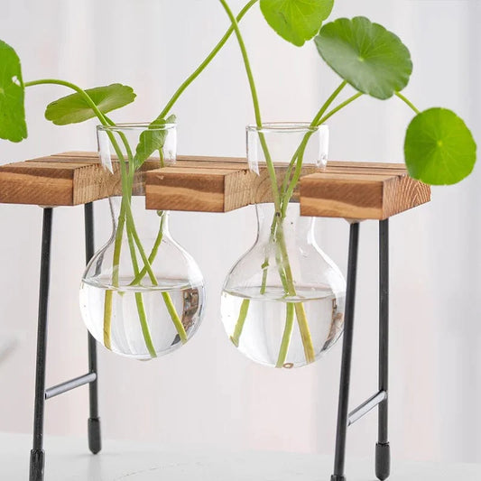 Pot de fleur vintage pour terrarium hydroponique