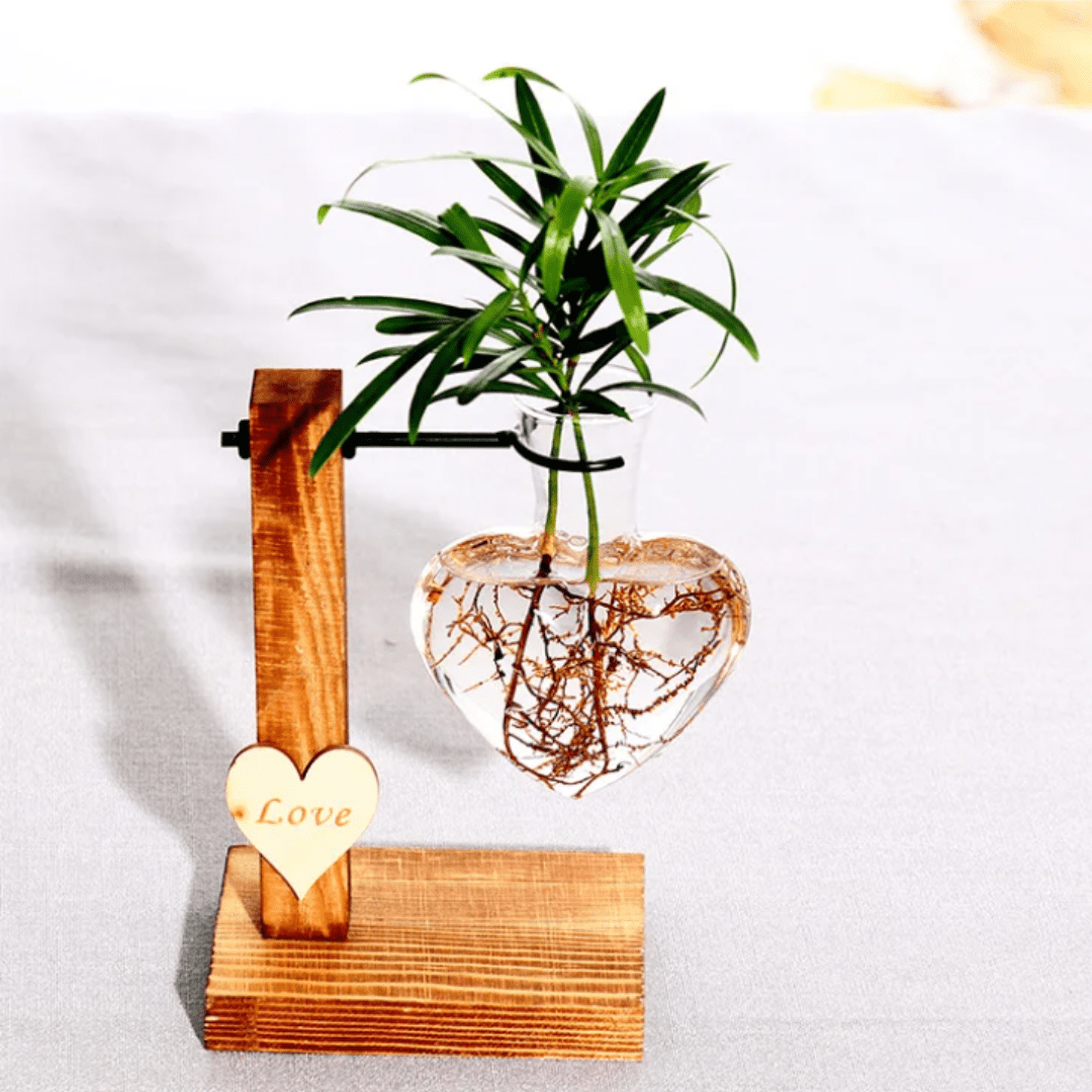 Vase Suspendu Cœur Hydroponique