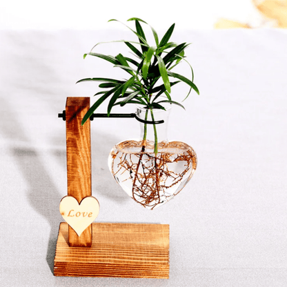 Vase Suspendu Cœur Hydroponique