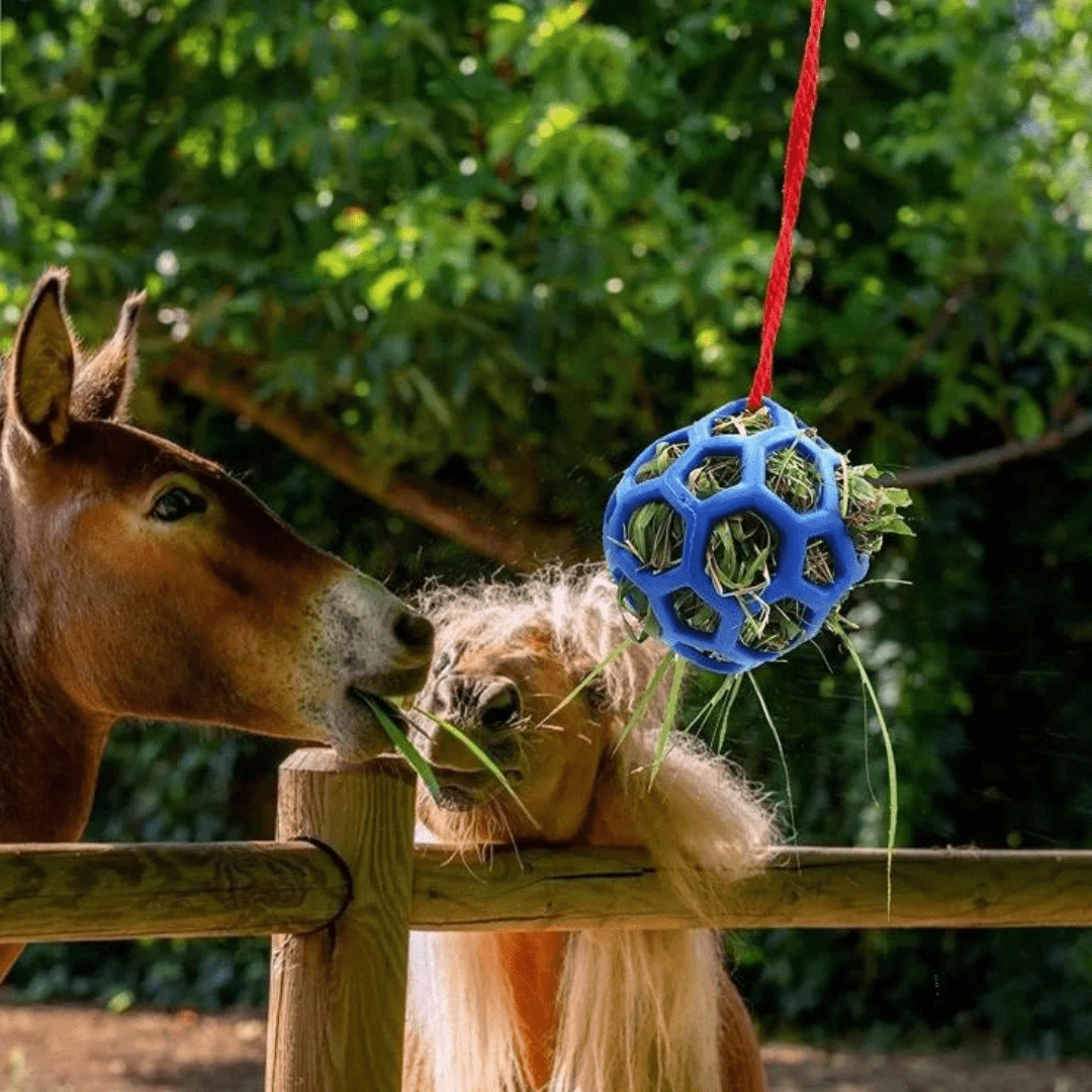 Balle Mangeoire Universelle pour Animaux