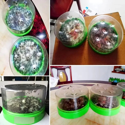 Piège à Mouche Réinventé