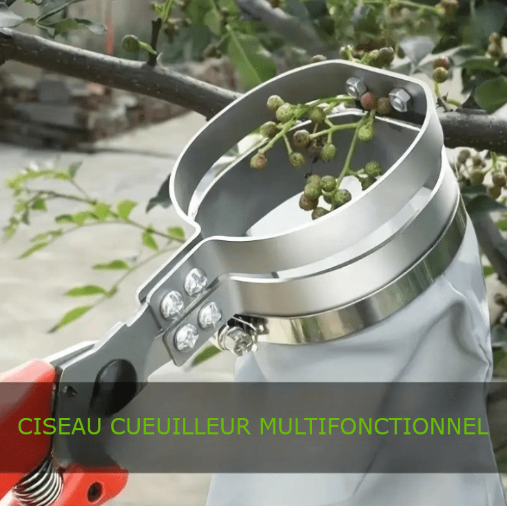 Ciseau Cueilleur Multifonctionnel