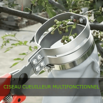 Ciseau Cueilleur Multifonctionnel