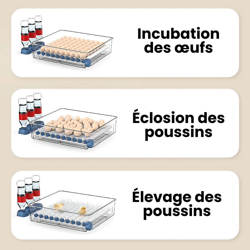 Couveuse Automatique Professionnelle Poulailler