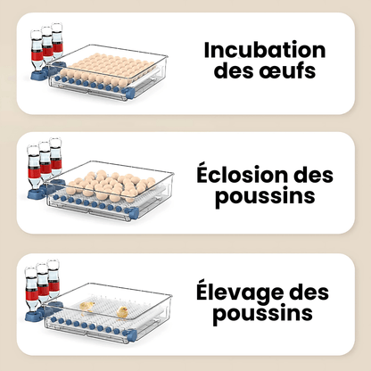 Couveuse Automatique Professionnelle Poulailler