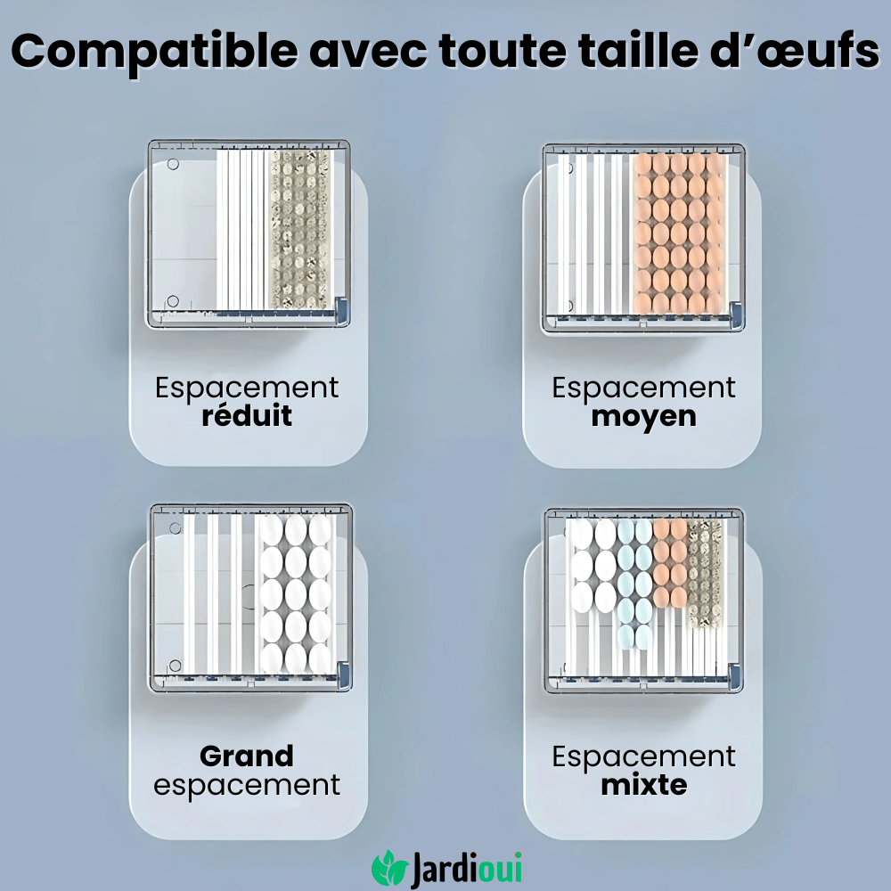 Couveuse Automatique Professionnelle Poulailler