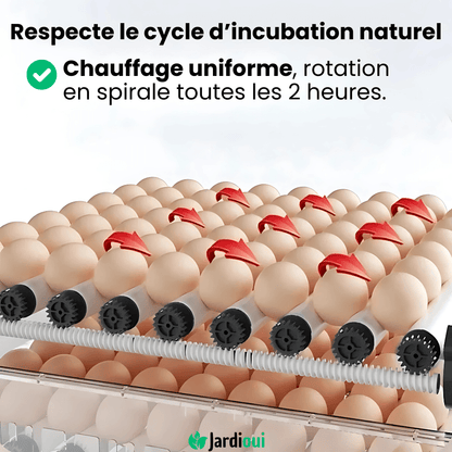 Couveuse Automatique Professionnelle Poulailler