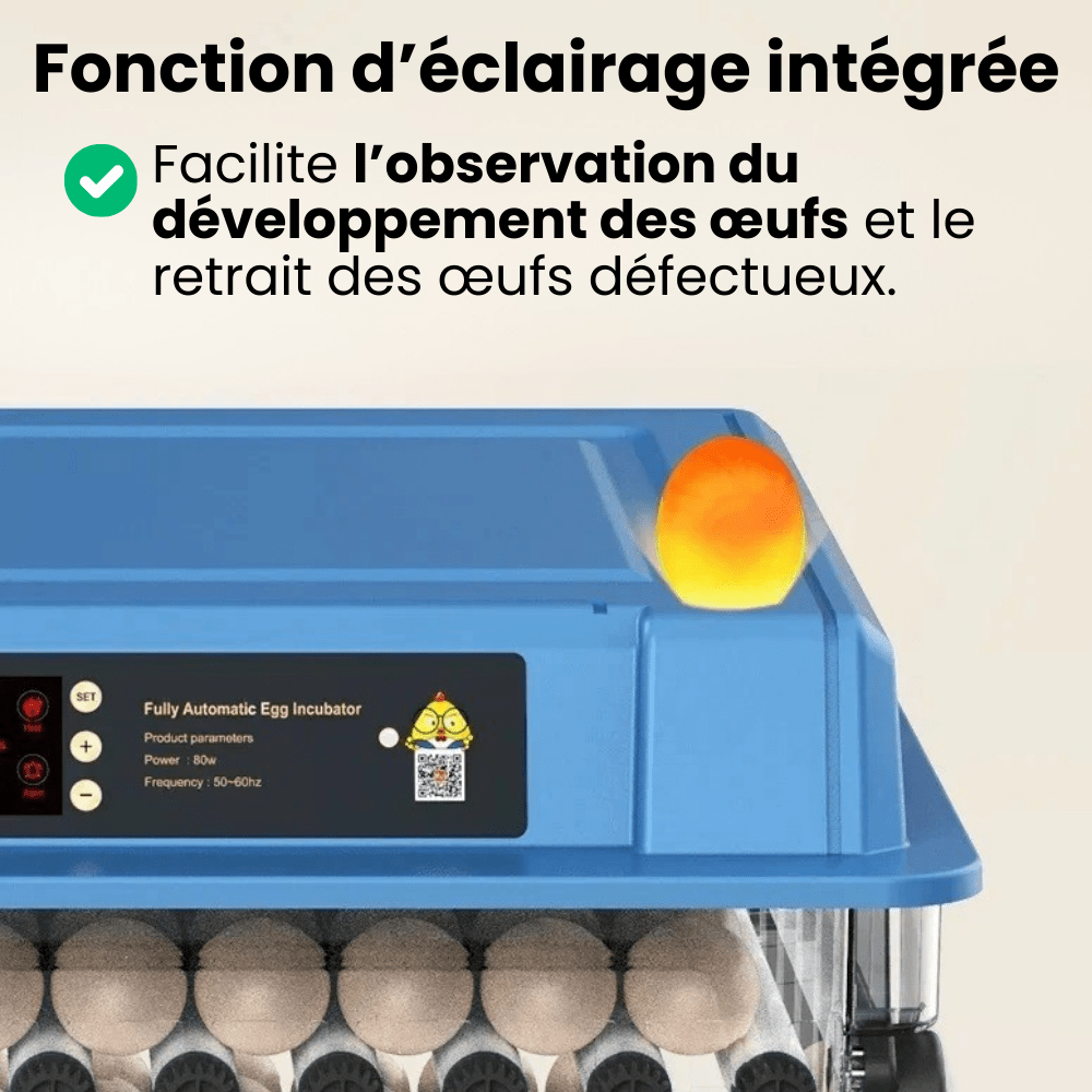 Couveuse Automatique Professionnelle Poulailler