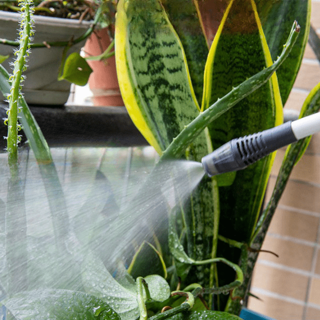 FlexiSpray - L'Arrosoir Électrique Polyvalent (+Réservoir offert)