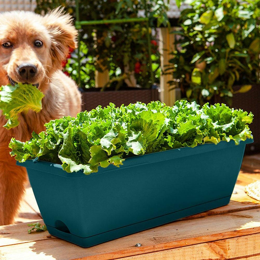 Jardinière en Plastique Classique